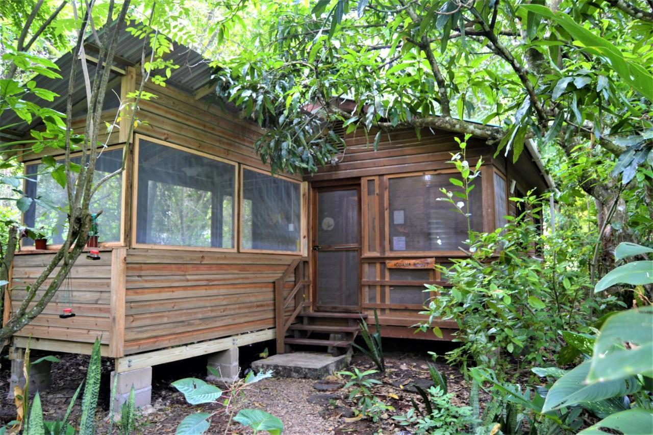 Iguana Roost Tourism Gold Standard Fully Equipped Two Bedroom Cabin San Ignacio Buitenkant foto