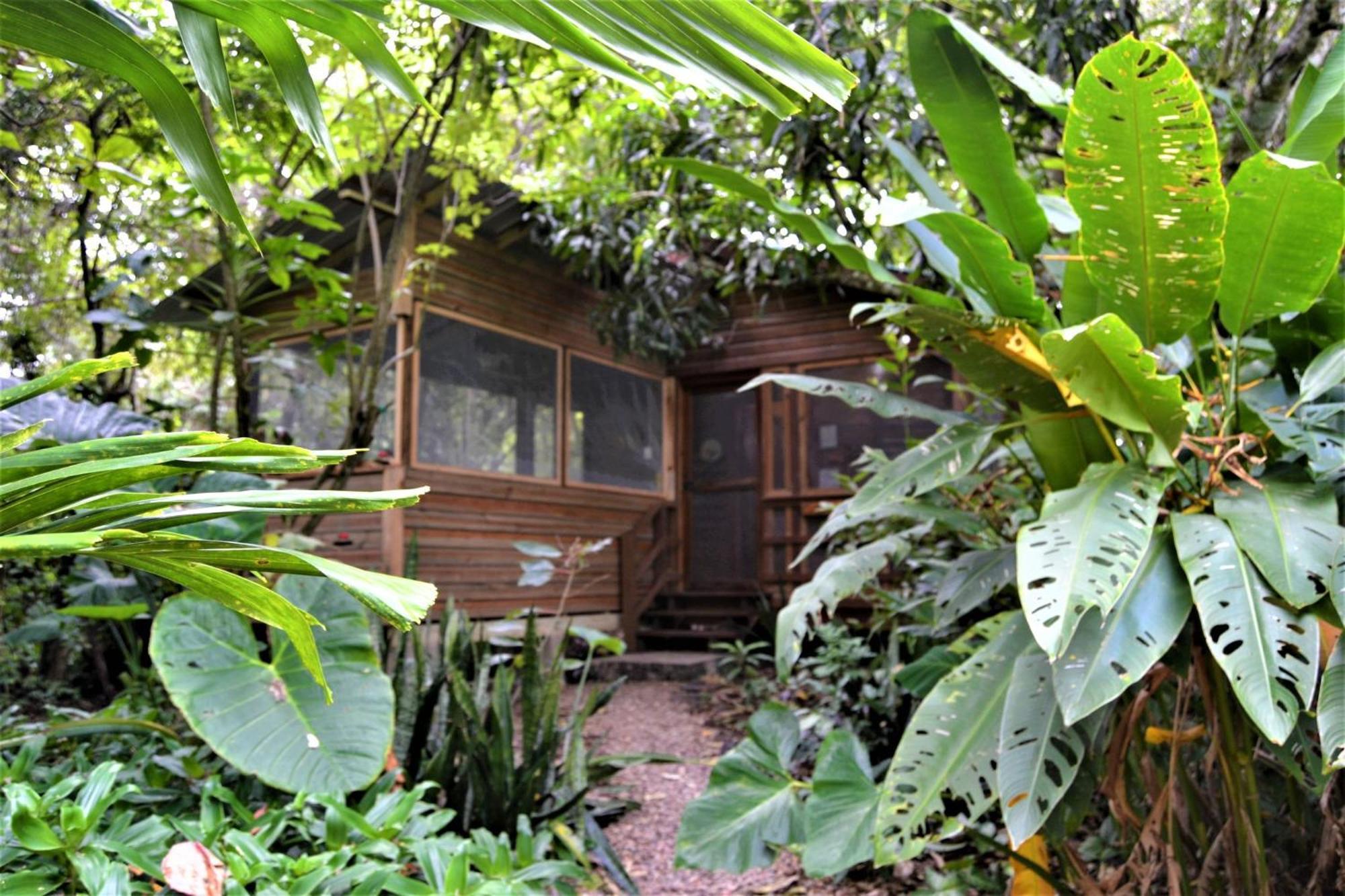 Iguana Roost Tourism Gold Standard Fully Equipped Two Bedroom Cabin San Ignacio Buitenkant foto