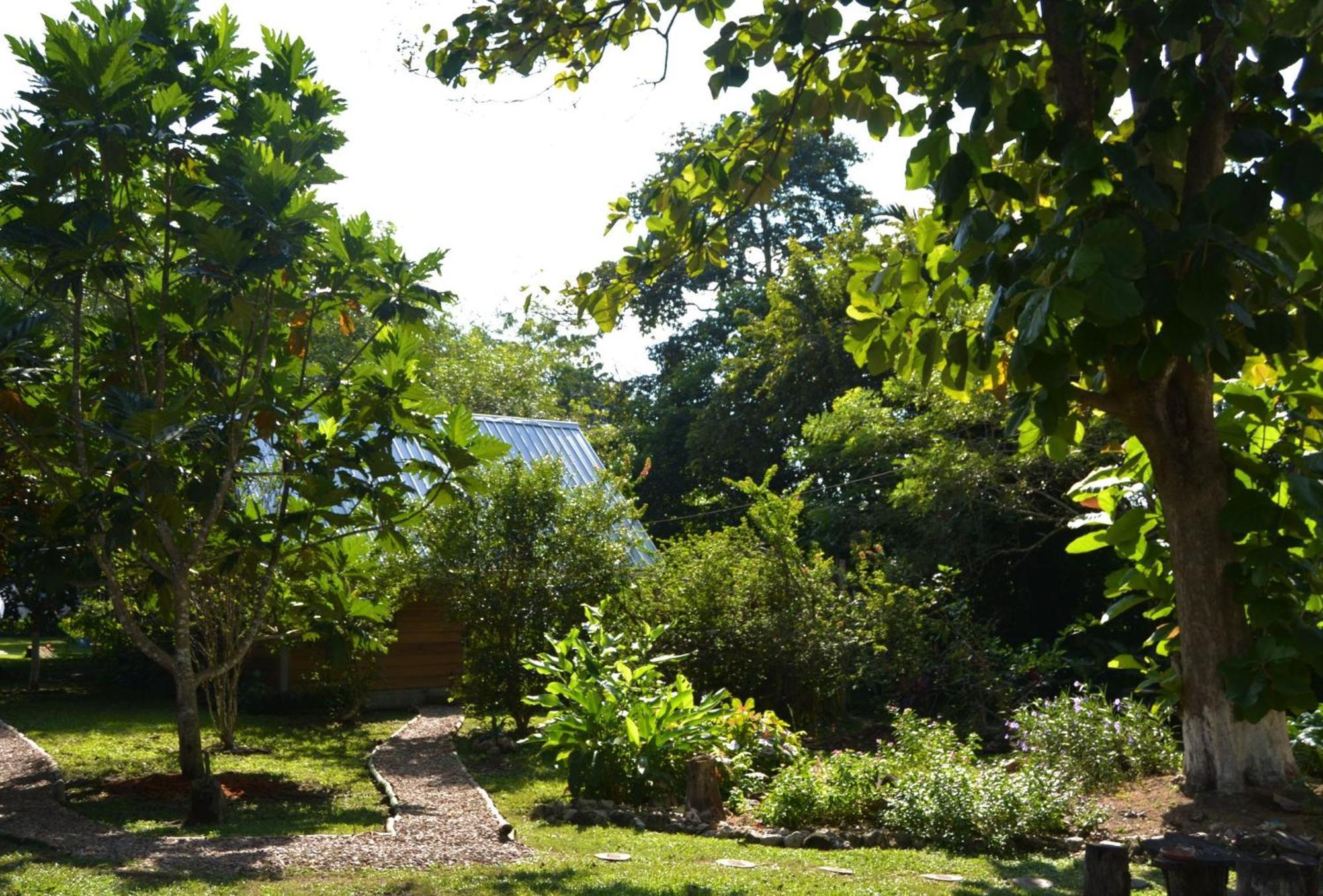Iguana Roost Tourism Gold Standard Fully Equipped Two Bedroom Cabin San Ignacio Buitenkant foto